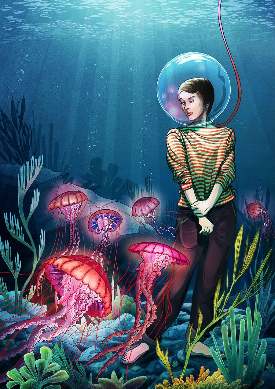 Jellyfish